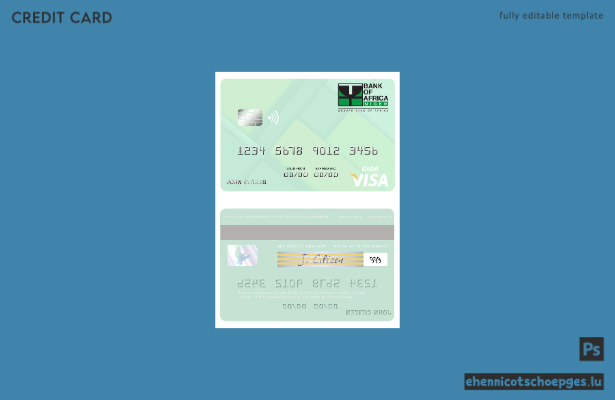 Beispielvorschau der Visa-Debitkarte der Niger Bank of Africa